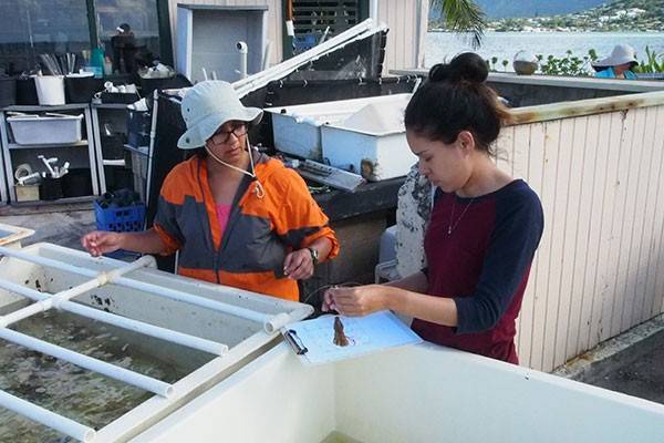 Lisa Rodrigues, Phd and a student engage in coral study fieldwork
